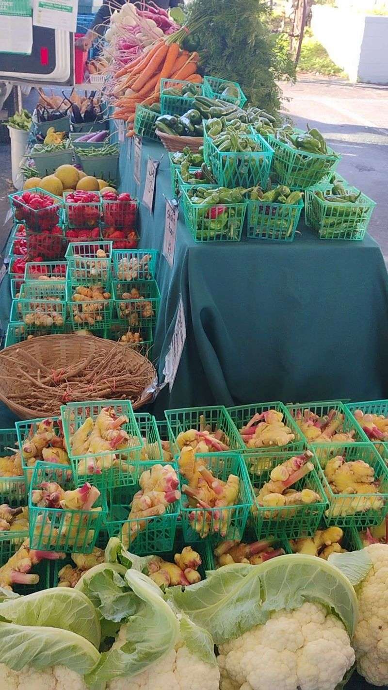 Alachua County Farmers' Market