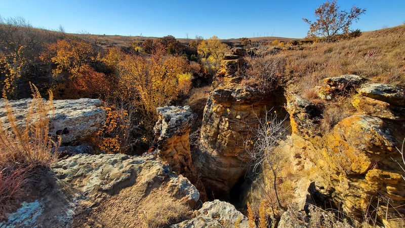 Rattlesnakes Really Do Live Here