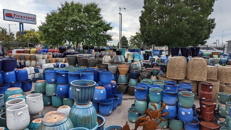 Giant Planters Steal The Show