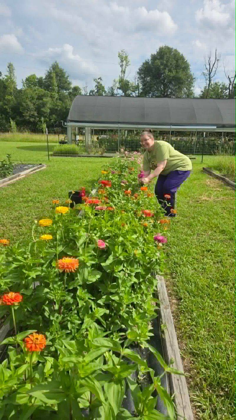 Daydream Manor Flower Farm