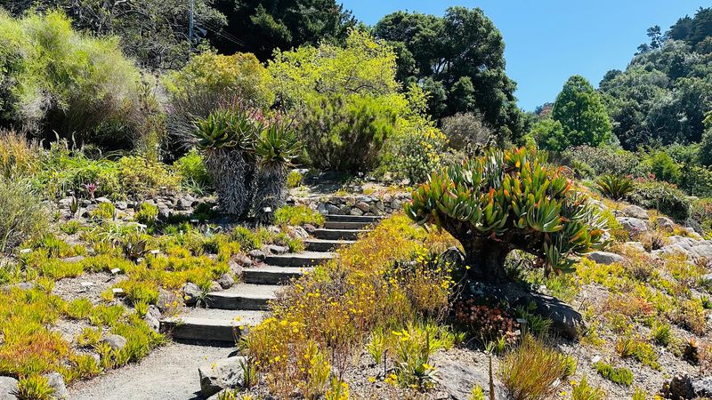 University of California Botanical Garden
