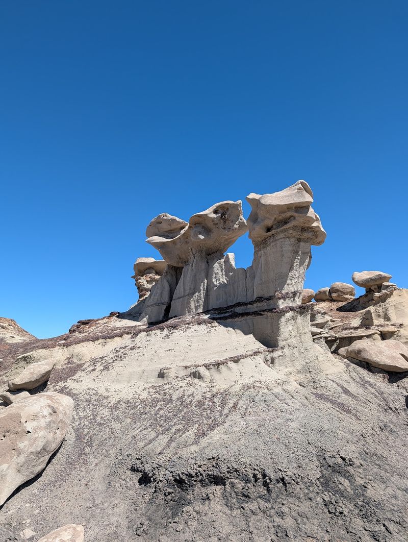 Bisti/De-Na-Zin Wilderness, Farmington