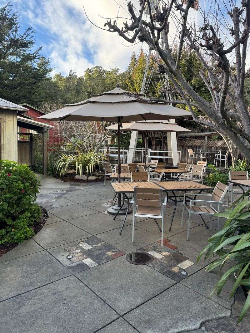 A Garden Patio Full of Surprises