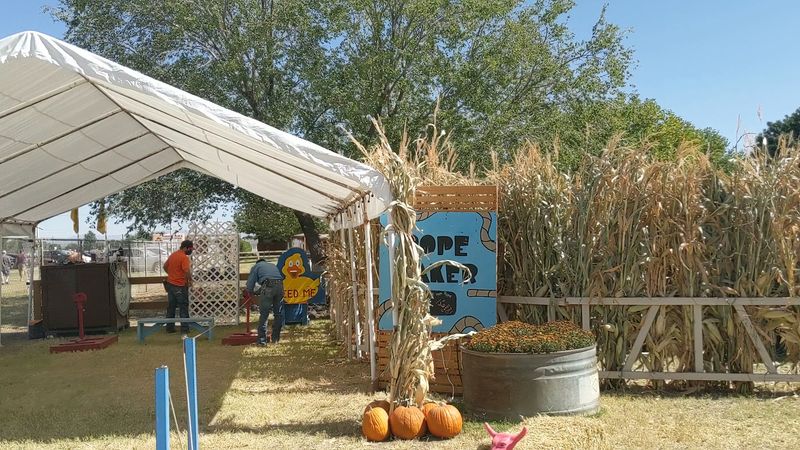 Mesilla Valley Maze Fall Festival, Las Cruces
