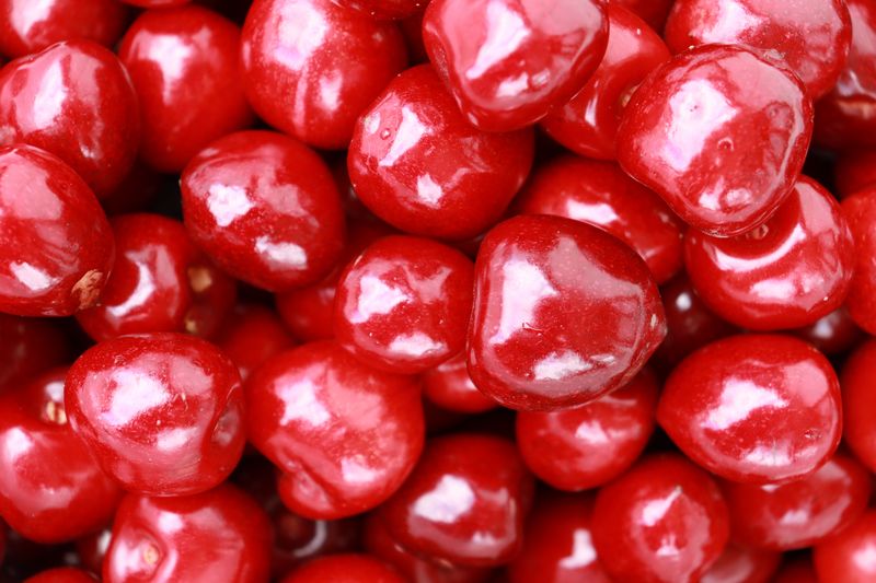 Charlevoix Cherry Treats