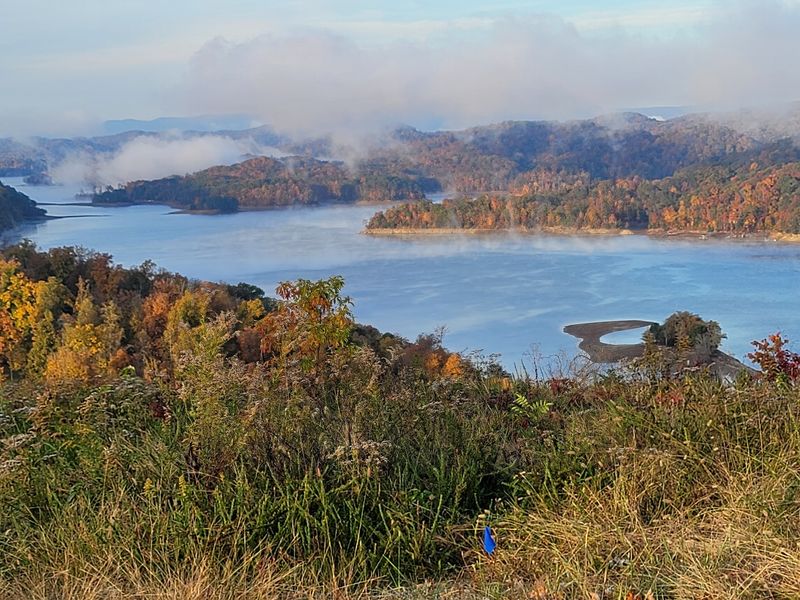 Campbell County 