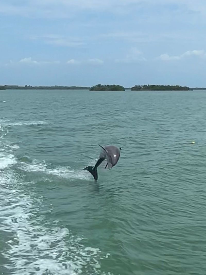 Sight Sea-R Cruises, Fort Myers Beach, FL