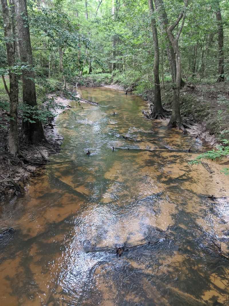 The Stream And Bundick Creek Views