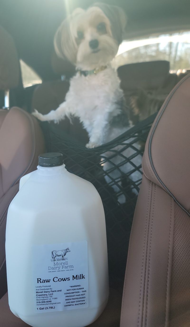 Raw Milk For The Purists