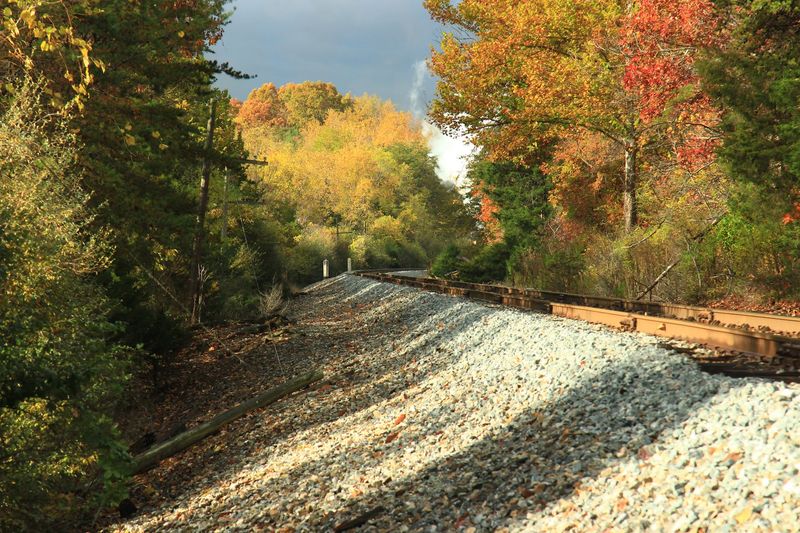 Fall Color Comes With A Moving Frame