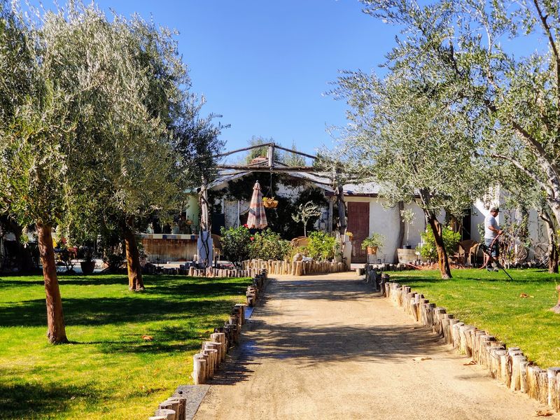 Temecula Olive Oil Company, Aguanga, CA