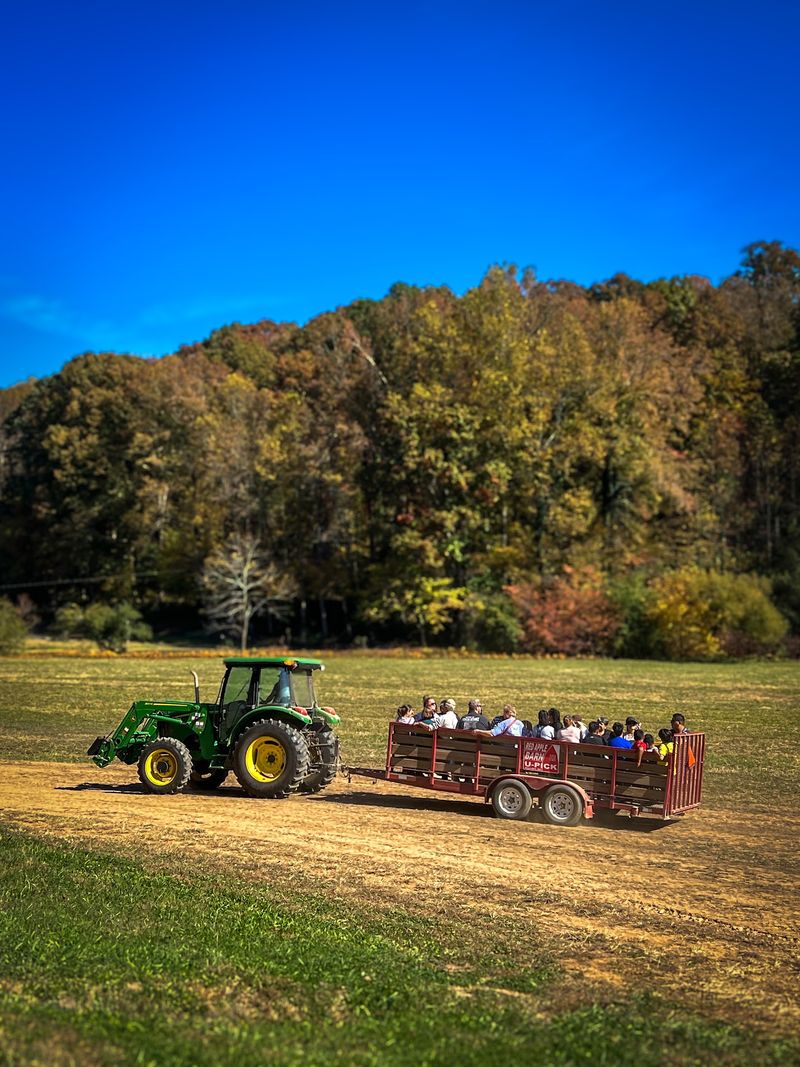 The Wagon Ride Takes You Up To The Mountain Orchard