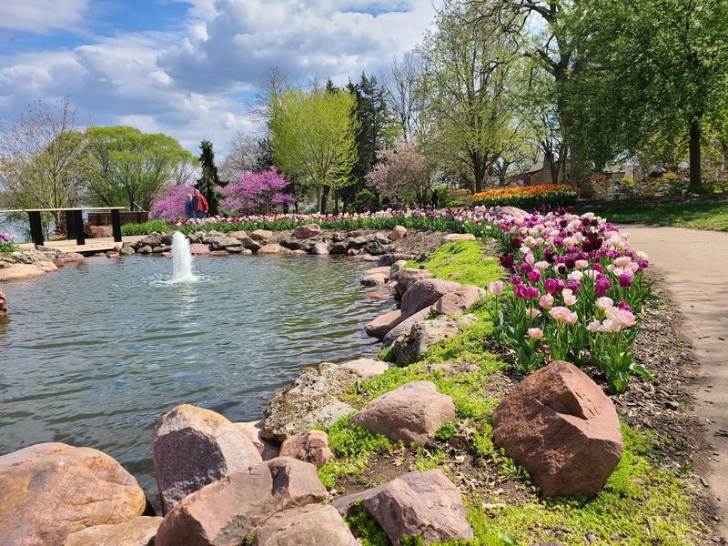 Ted Ensley Gardens And The Tulip Show
