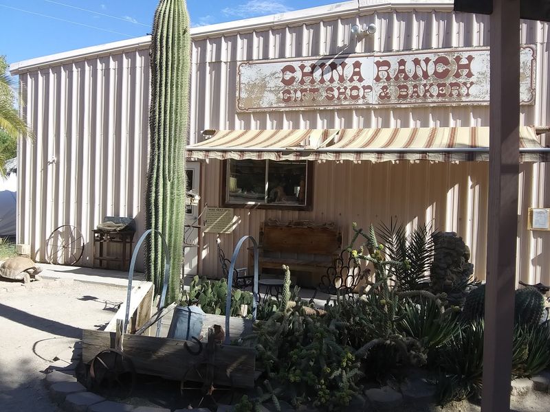 China Ranch Date Farm & Bakery, Tecopa