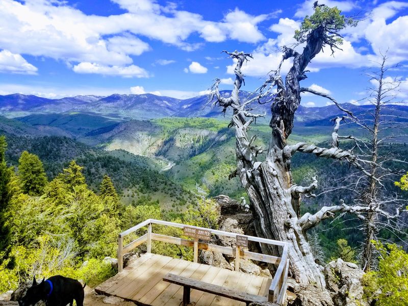 Jardine Juniper Trail, Logan Canyon