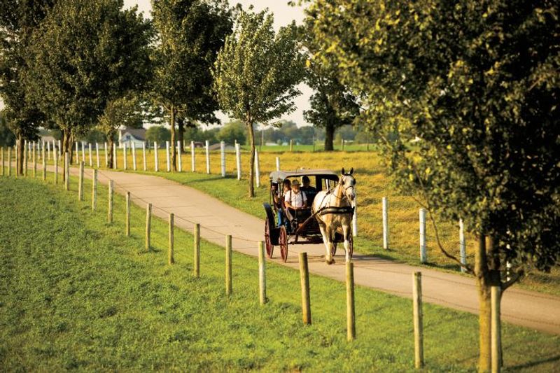 The Off The Beaten Path Route Turns Shopping Into A Drive