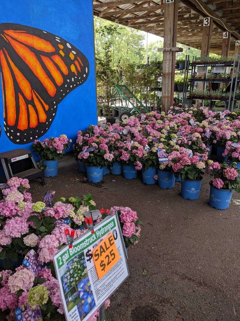 The Self-Service Setup Puts Plant Information On The Signs