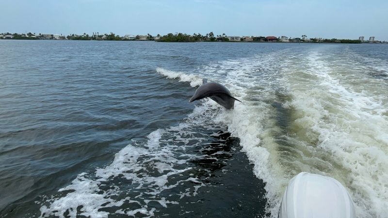 Good Time Charters, Fort Myers Beach, FL