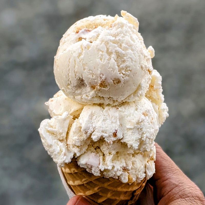 Homeland Creamery, Julian, NC