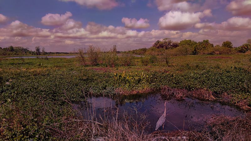 Circle B Bar Reserve