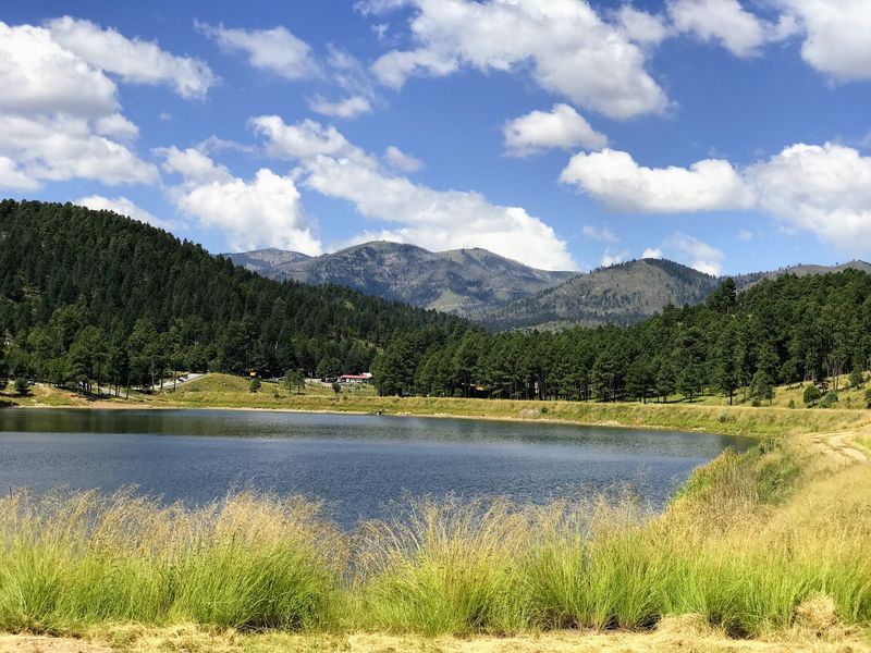 Scenic Drives With Views for Miles