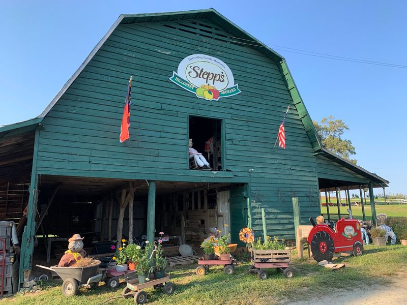 Stepp's Hillcrest Orchard, Hendersonville
