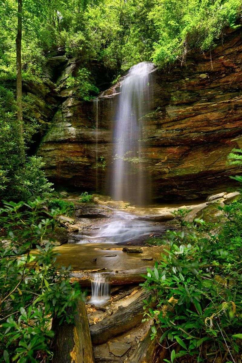 Moore Cove Falls Trail