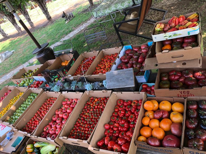 Terra Amico Farms, San Martin, CA