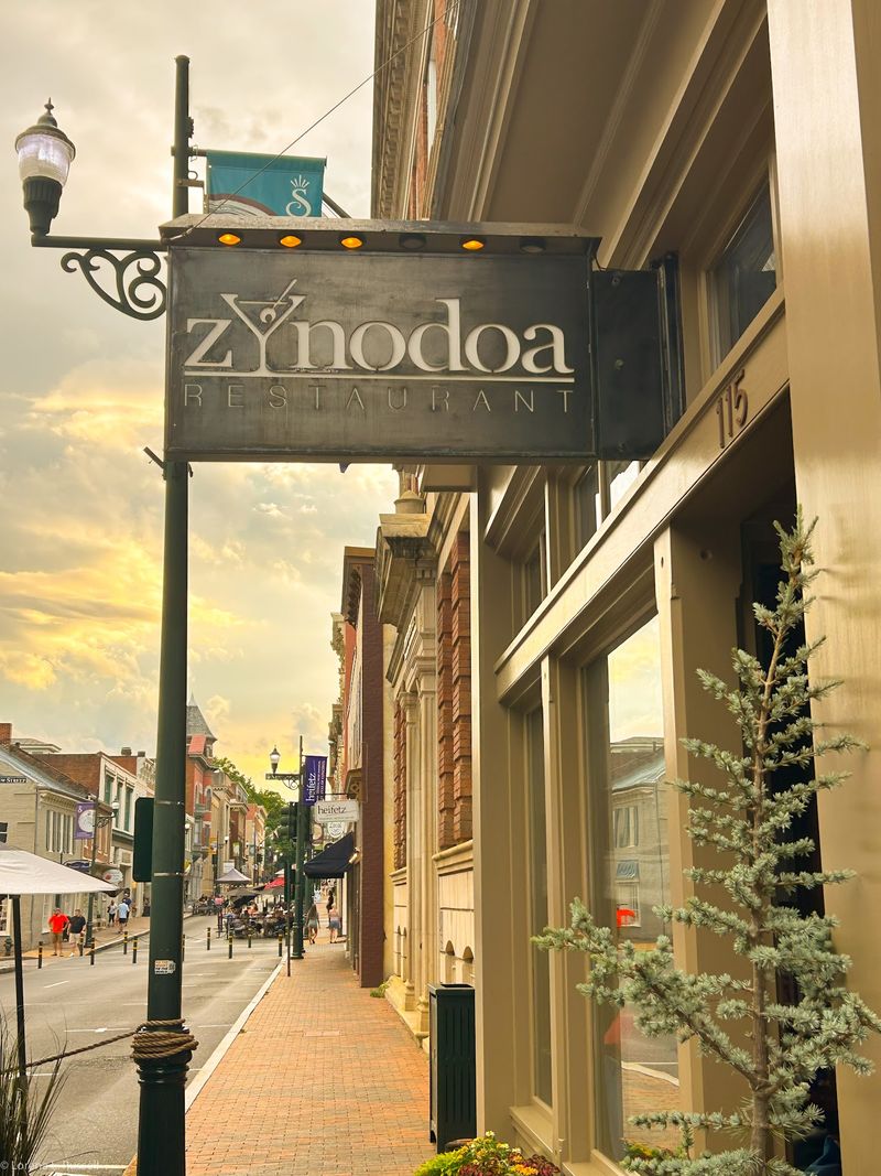 Zynodoa