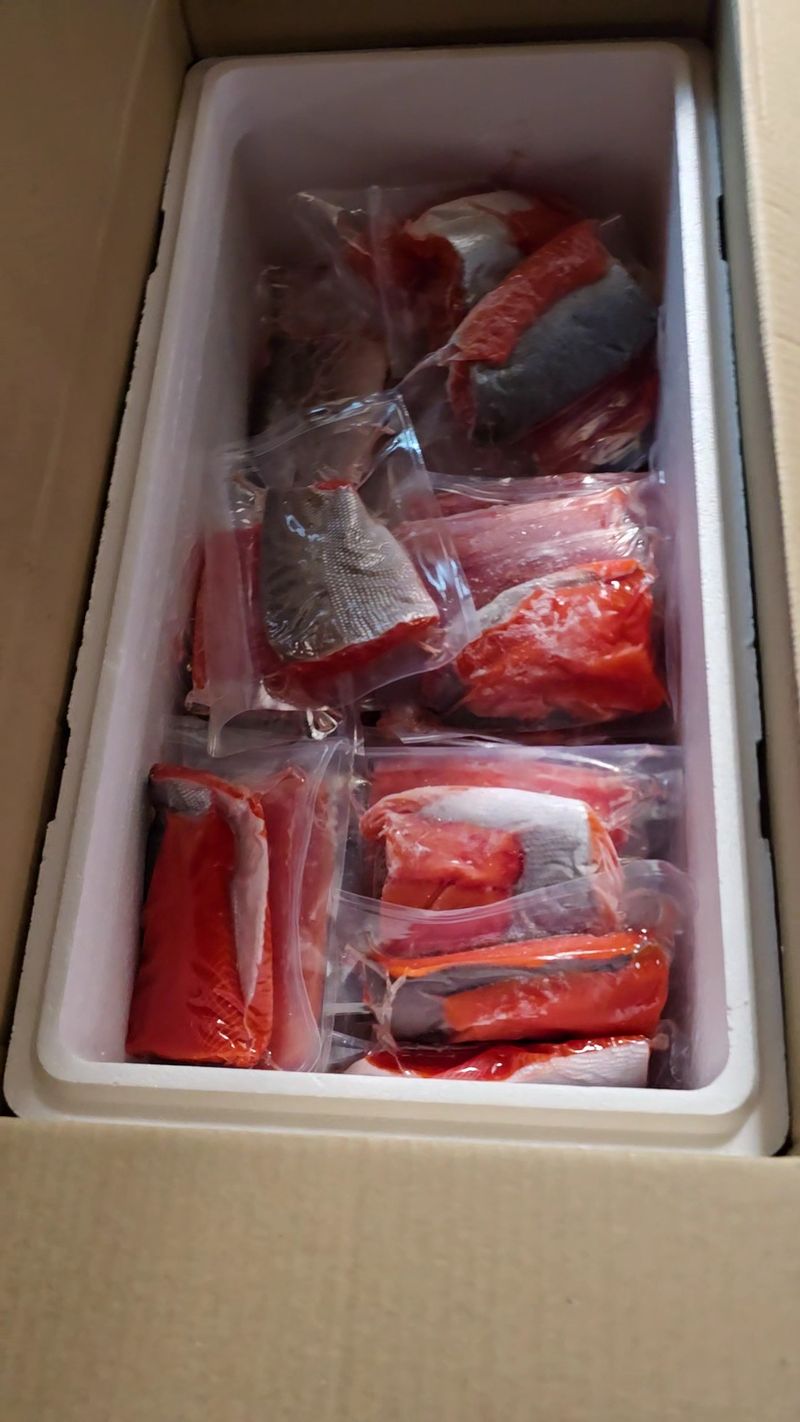 Cook Inlet Sockeye Is Flash Frozen After Processing