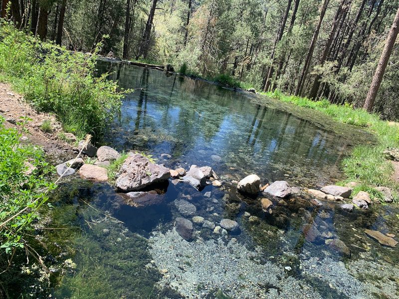 McCauley Warm Springs