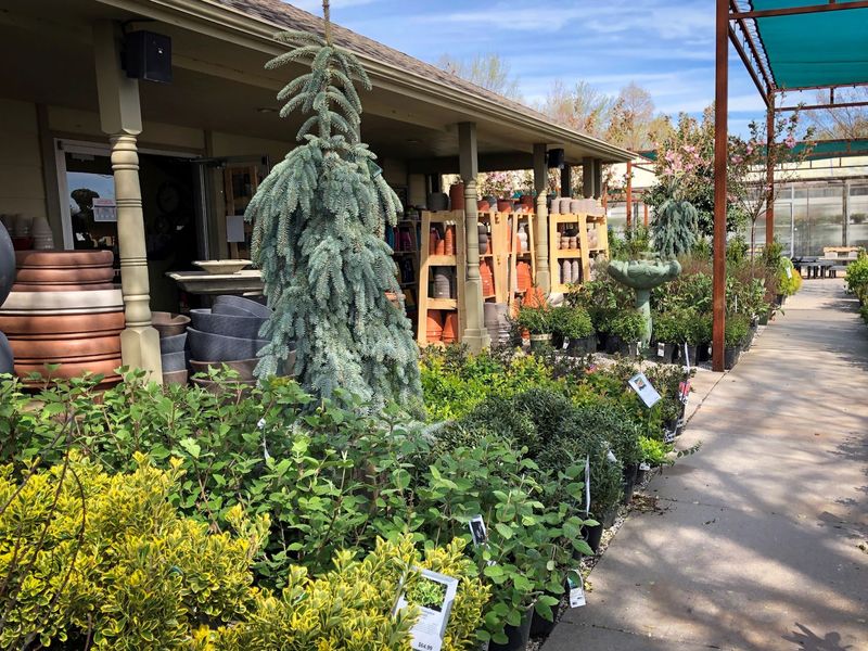 Landscape Design Services Under The Same Roof