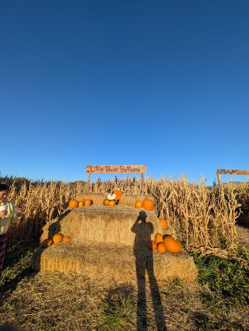 Little Bear Bottoms Farm, Wellsville, UT