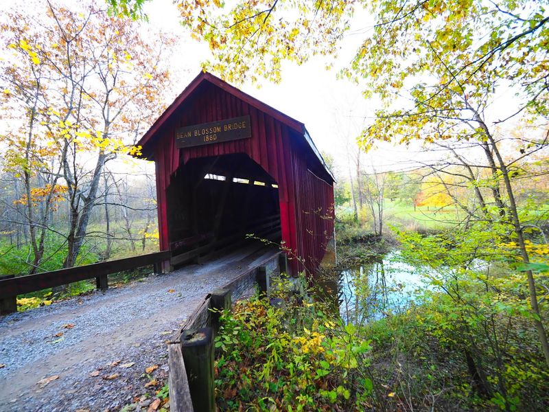 Bean Blossom Keeps The Brown County Miles Scenic