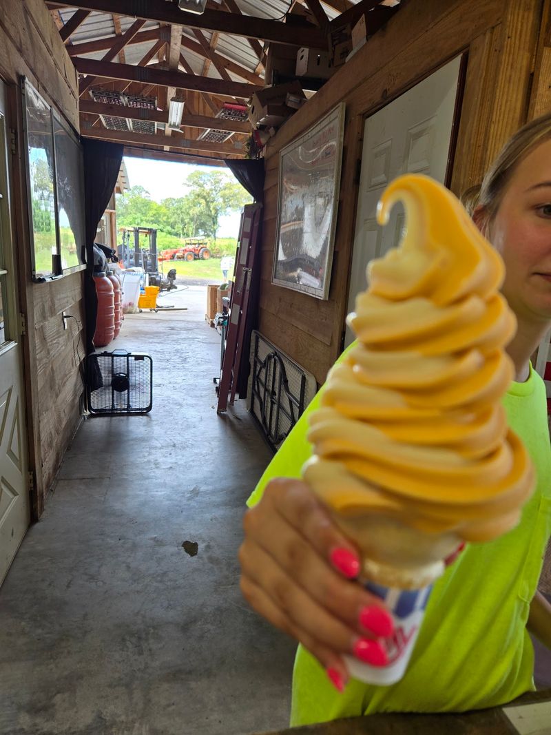 Save Room For Homemade Ice Cream