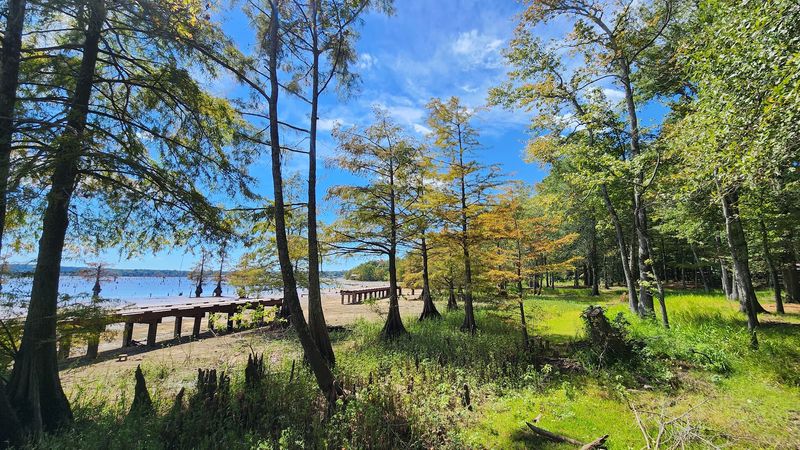 Try The Disc Golf Course For A Surprise