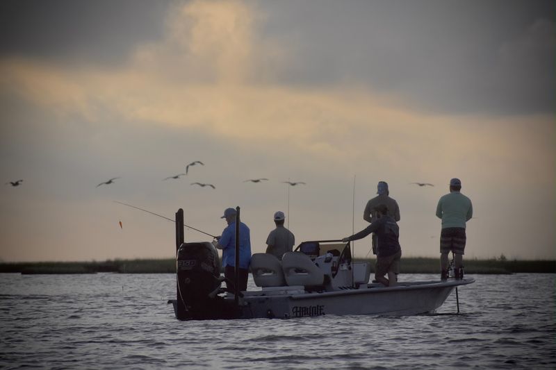 Catch The Spring Bird Rush