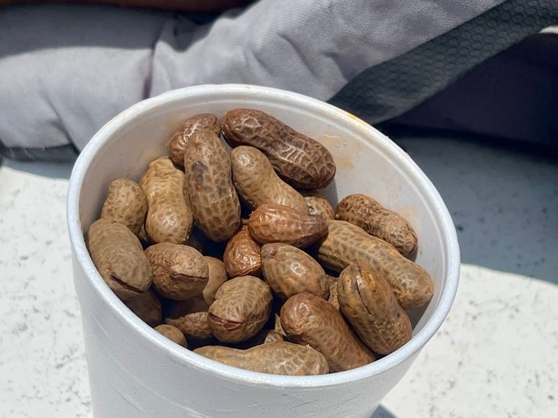 Florida Boys Peanuts, Dade City, FL