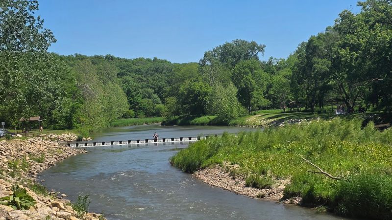 Wildlife Watching Beyond The Snakes