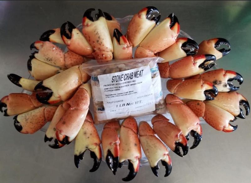 Fresh Catch From the Seafood Market