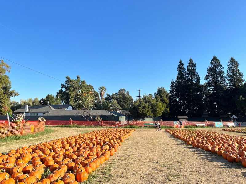 G&M Farms, Livermore, CA