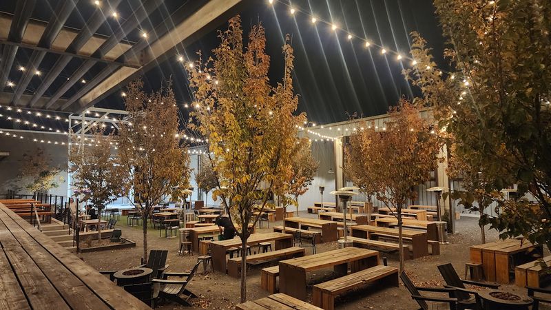 An Expansive Courtyard and Live Music