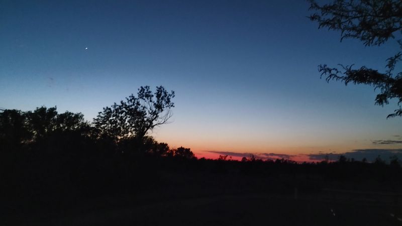 Night Skies That Steal The Show