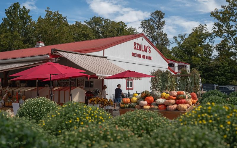 Szalay's Farm & Market, Peninsula, OH