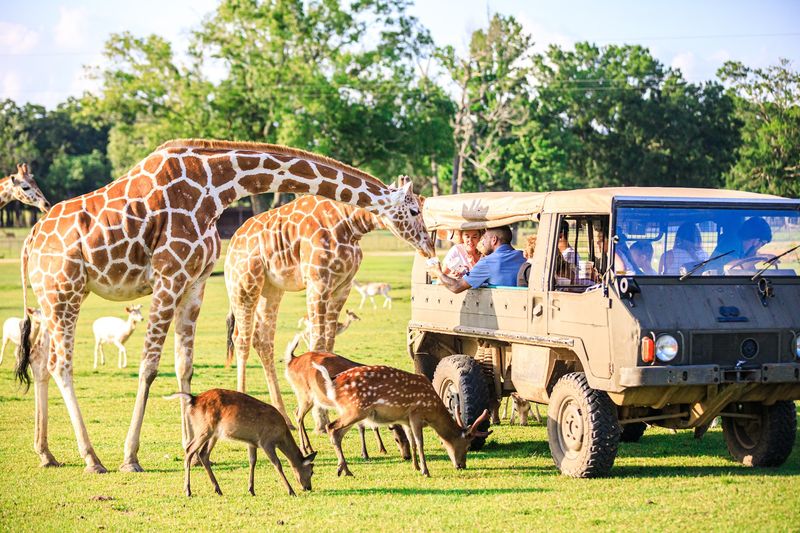 Global Wildlife Center, Folsom