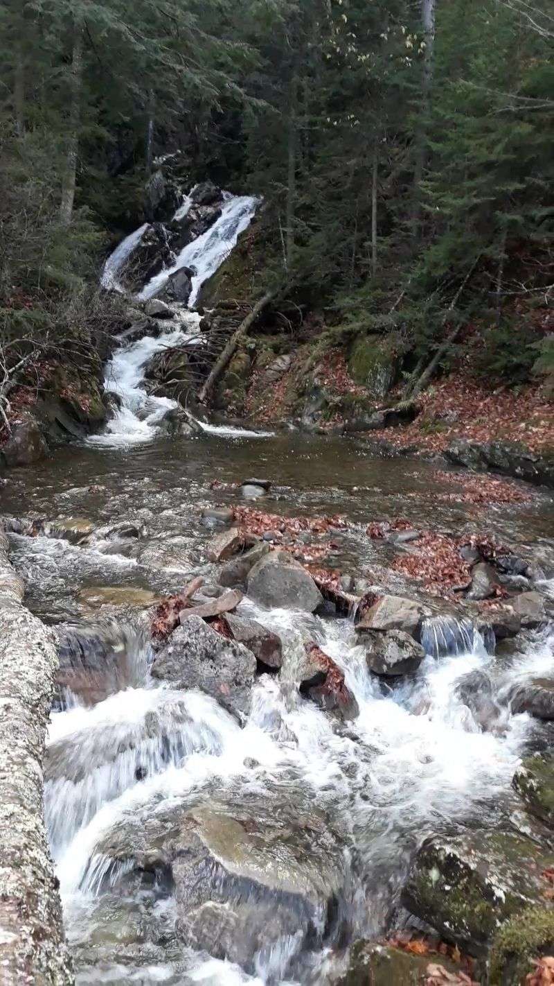 Baby Flume Is Less Than A Tenth Of A Mile From Parking