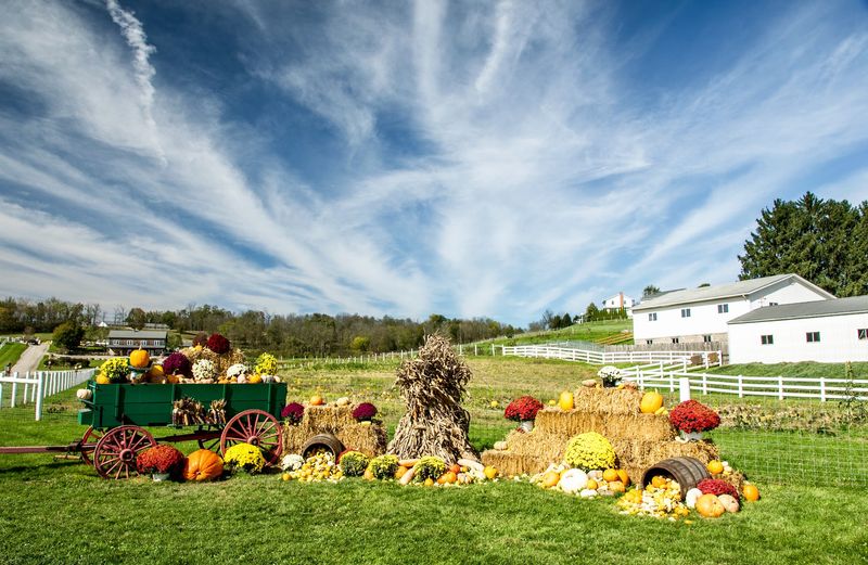 Spend Time At The Farm At Walnut Creek