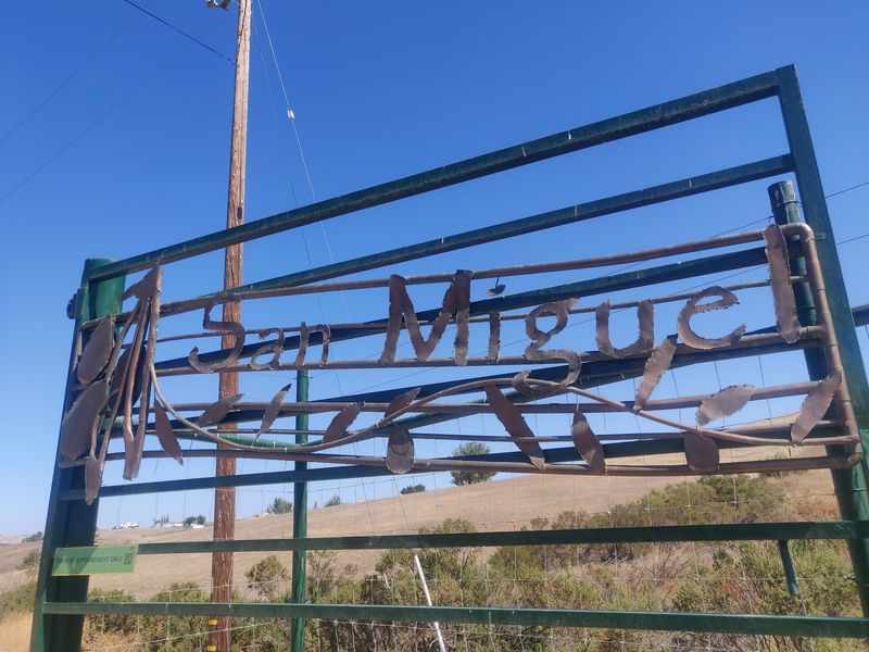 San Miguel Olive Farm, San Miguel, CA