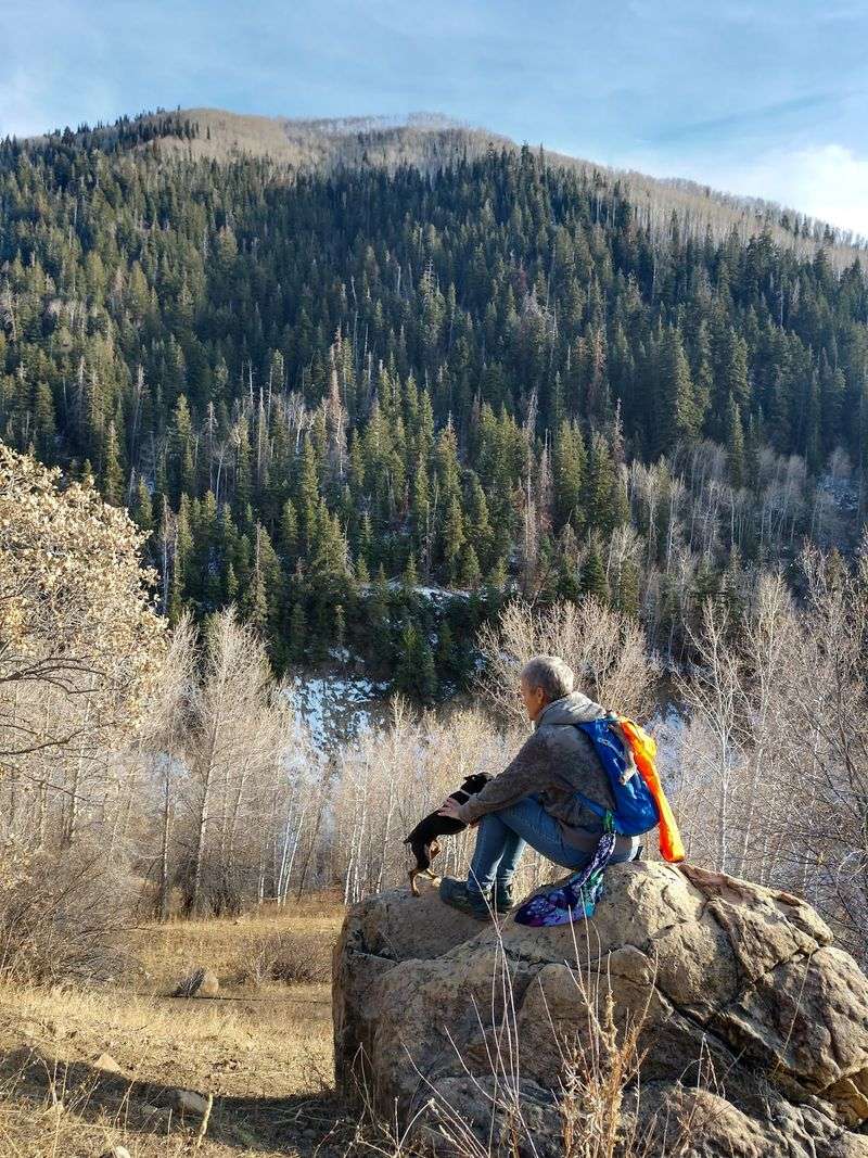 South Fork Of North Creek Trail, Tushar Mountains