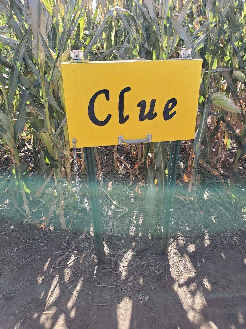 One Hidden Checkpoint Comes With A Treat
